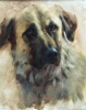 Dog Portrait by Johanne Mangi