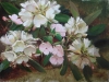 Rhododendrons by Tatiana Yanovskaya