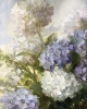 Hydrangea Heaven by Diane Reeves