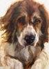 Dog Portrait Sequential 1, Johanne Mangi