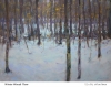 Winter Woods by John MacDonald